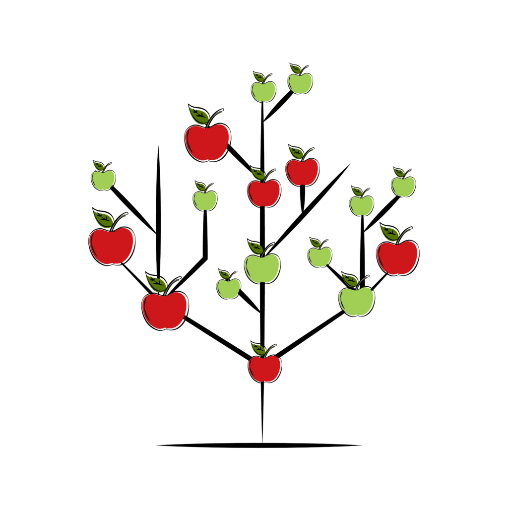 Entscheidungsbaum zum Apfelbaum schneiden