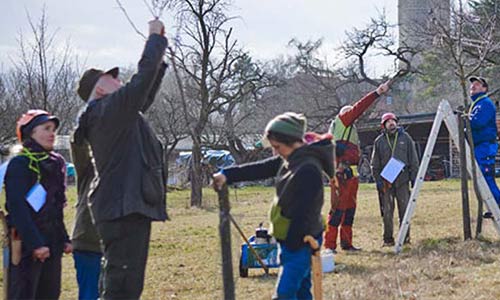 Schnitttechniken und -systeme