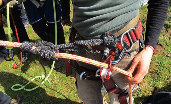 Obstbaum-Kletterkurs