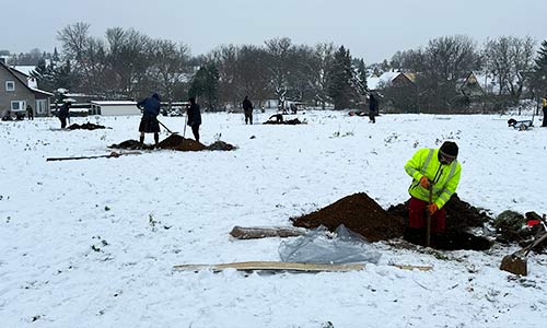 Obstbaumpflanzung mit Wühlmauskorb