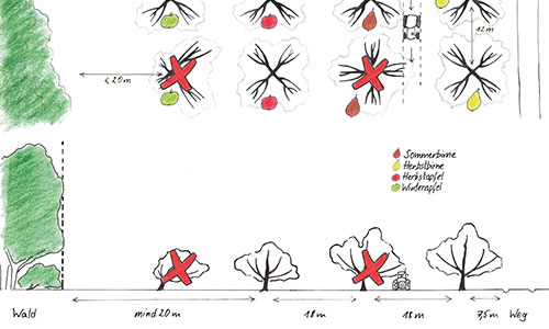 Ökonomischer und ökologischer Wert von Streuobstwiesen