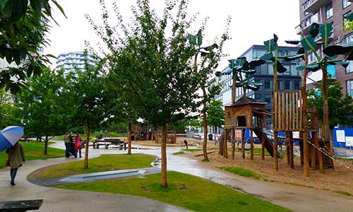 Obstbäume im öffentlichen Raum