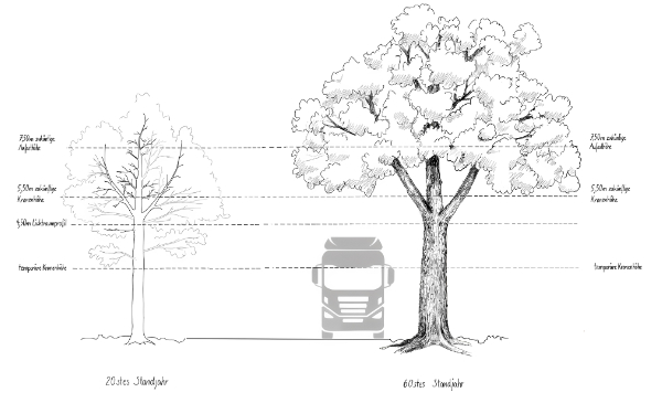 Selektives Aufasten - Tageskurs